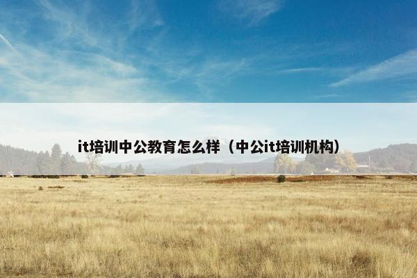 it培训中公教育怎么样（中公it培训机构）