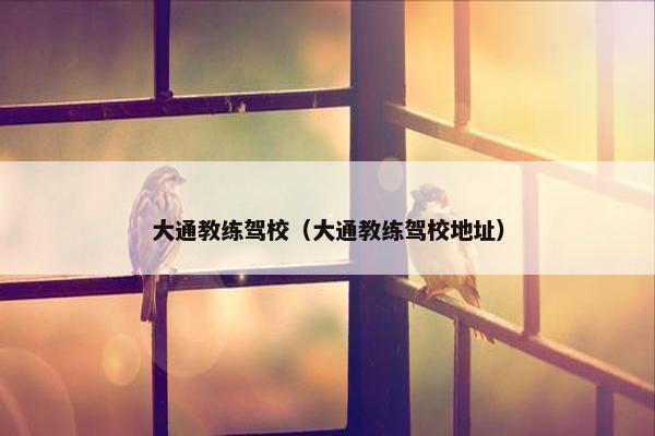 大通教练驾校（大通教练驾校地址）