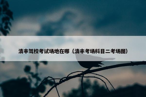 清丰驾校考试场地在哪（清丰考场科目二考场图）