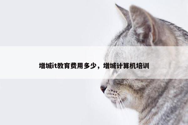 增城it教育费用多少，增城计算机培训