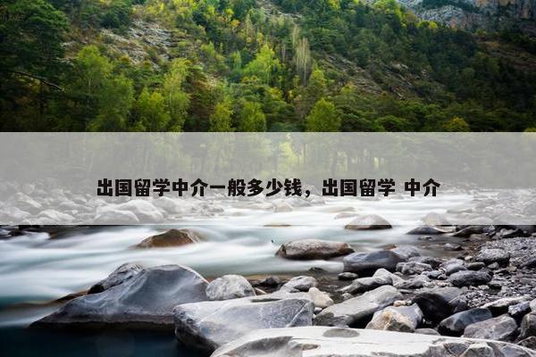 出国留学中介一般多少钱，出国留学 中介
