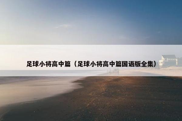足球小将高中篇（足球小将高中篇国语版全集）