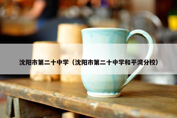 沈阳市第二十中学（沈阳市第二十中学和平湾分校）