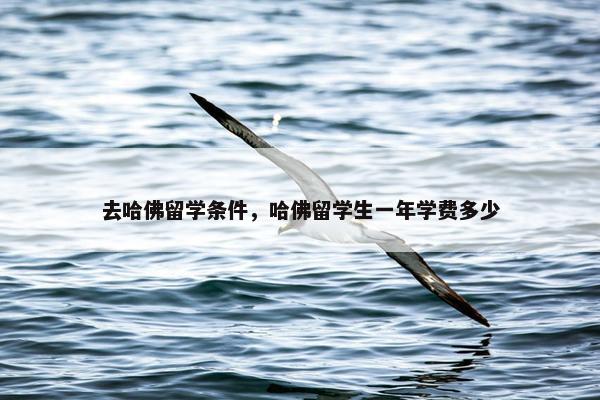 去哈佛留学条件，哈佛留学生一年学费多少