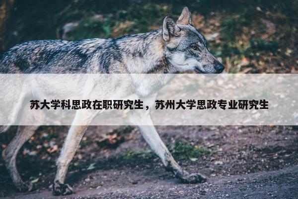 苏大学科思政在职研究生，苏州大学思政专业研究生