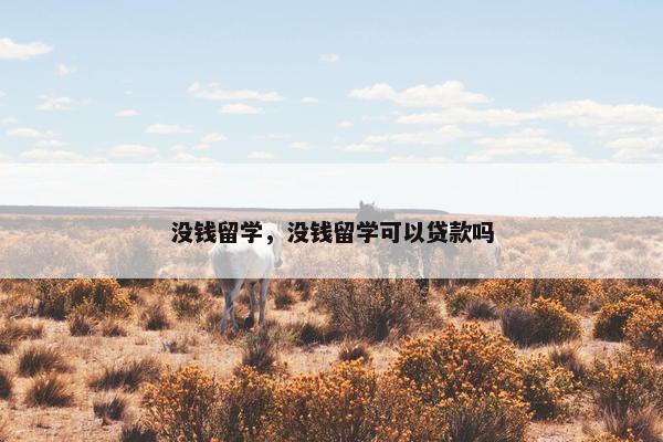 没钱留学，没钱留学可以贷款吗