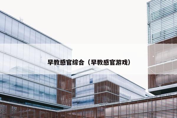 早教感官综合（早教感官游戏）