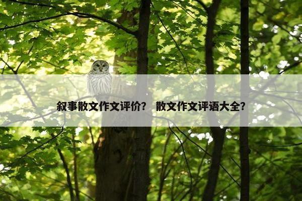 叙事散文作文评价？ 散文作文评语大全？