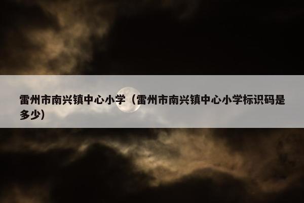 雷州市南兴镇中心小学（雷州市南兴镇中心小学标识码是多少）