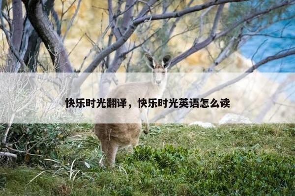 快乐时光翻译，快乐时光英语怎么读