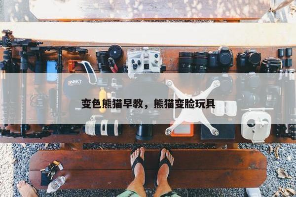 变色熊猫早教，熊猫变脸玩具