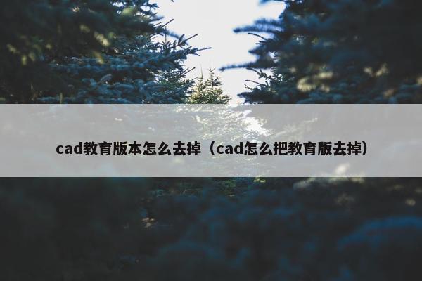 cad教育版本怎么去掉（cad怎么把教育版去掉）