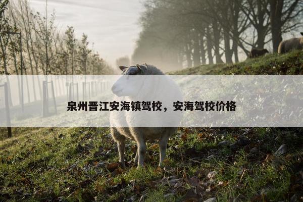泉州晋江安海镇驾校，安海驾校价格