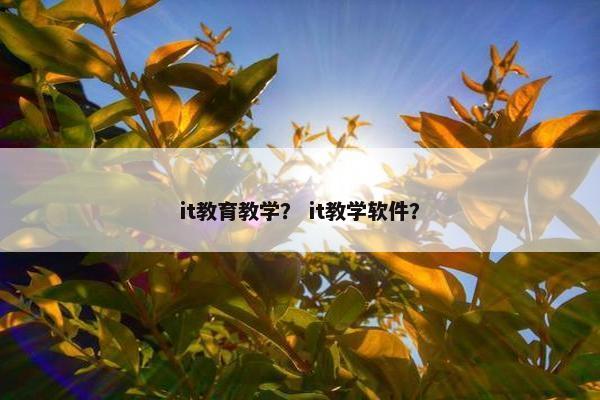 it教育教学？ it教学软件？