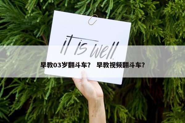 早教03岁翻斗车？ 早教视频翻斗车？