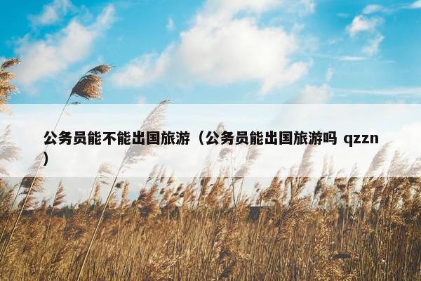 公务员能不能出国旅游（公务员能出国旅游吗 qzzn）