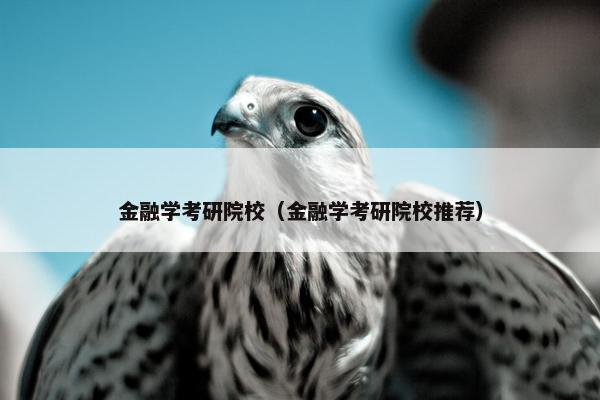 金融学考研院校（金融学考研院校推荐）