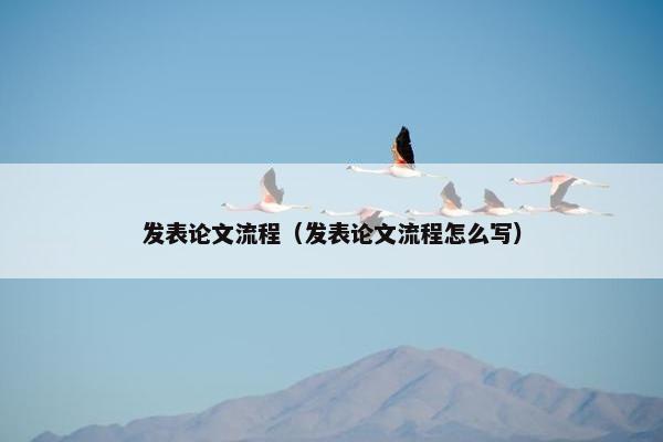 发表论文流程（发表论文流程怎么写）