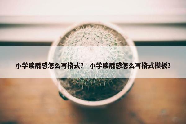 小学读后感怎么写格式？ 小学读后感怎么写格式模板？