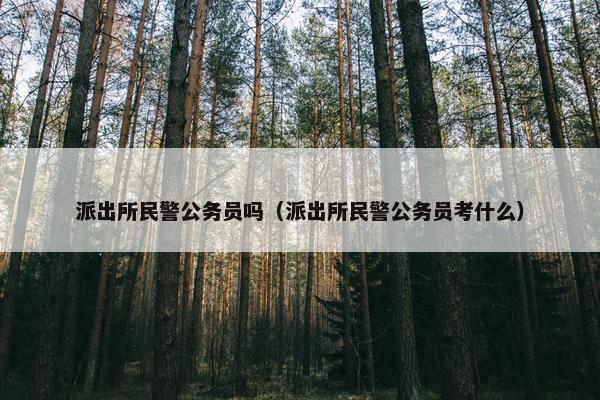 派出所民警公务员吗（派出所民警公务员考什么）