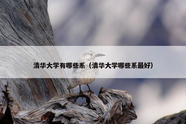 清华大学有哪些系（清华大学哪些系最好）