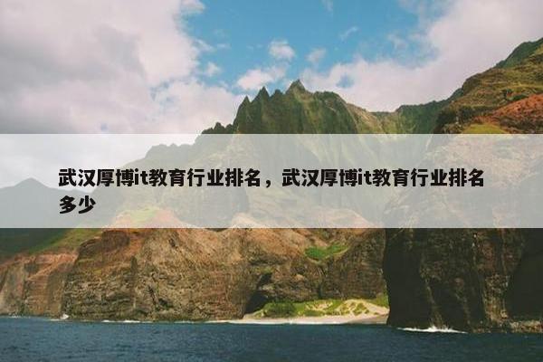 武汉厚博it教育行业排名，武汉厚博it教育行业排名多少