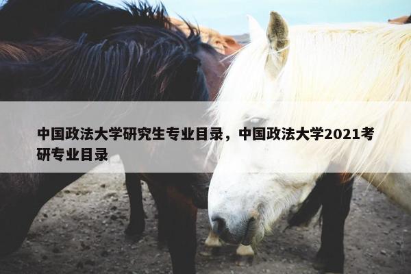 中国政法大学研究生专业目录，中国政法大学2021考研专业目录