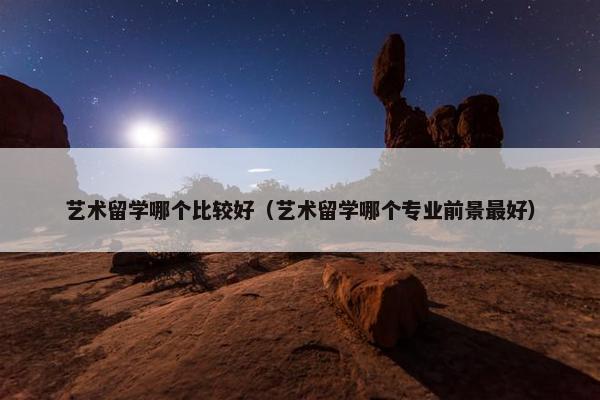 艺术留学哪个比较好（艺术留学哪个专业前景最好）