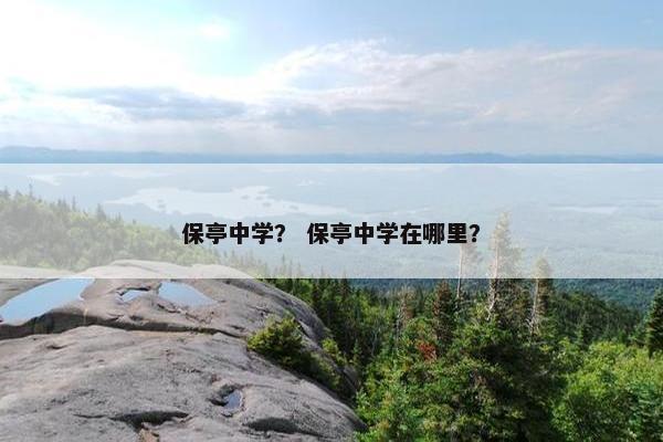 保亭中学？ 保亭中学在哪里？