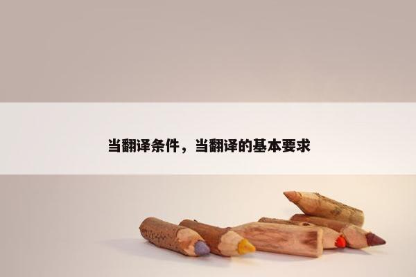 当翻译条件，当翻译的基本要求