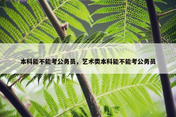 本科能不能考公务员，艺术类本科能不能考公务员