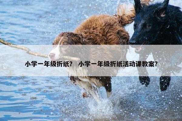 小学一年级折纸？ 小学一年级折纸活动课教案？