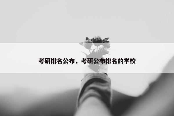 考研排名公布，考研公布排名的学校