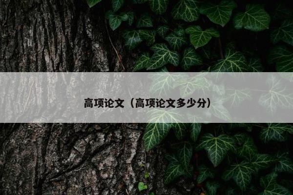 高项论文（高项论文多少分）