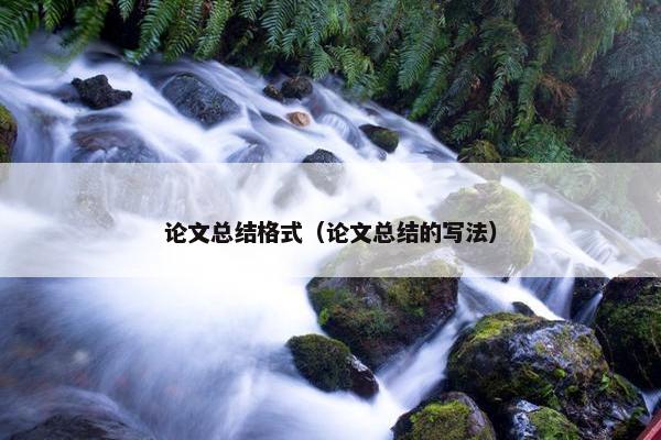 论文总结格式（论文总结的写法）