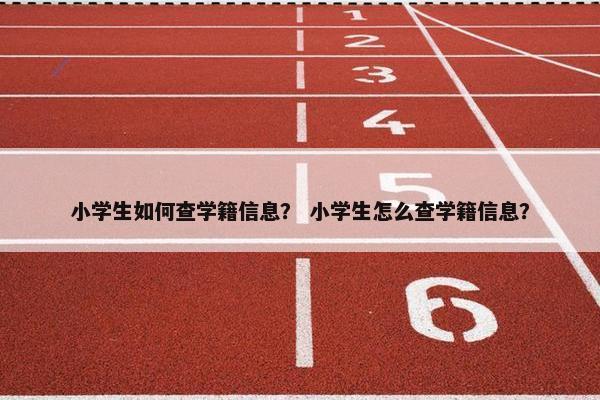 小学生如何查学籍信息？ 小学生怎么查学籍信息？