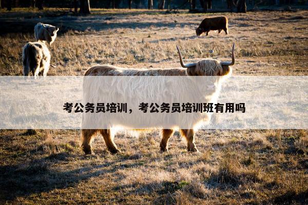 考公务员培训，考公务员培训班有用吗