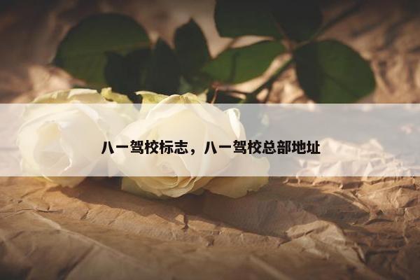 八一驾校标志，八一驾校总部地址