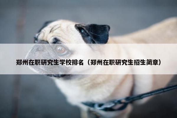 郑州在职研究生学校排名（郑州在职研究生招生简章）