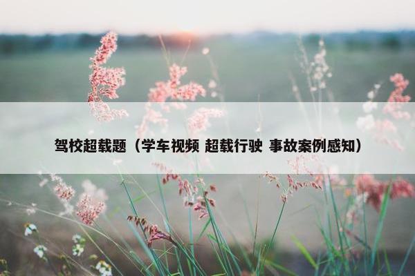 驾校超载题（学车视频 超载行驶 事故案例感知）