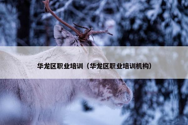 华龙区职业培训（华龙区职业培训机构）