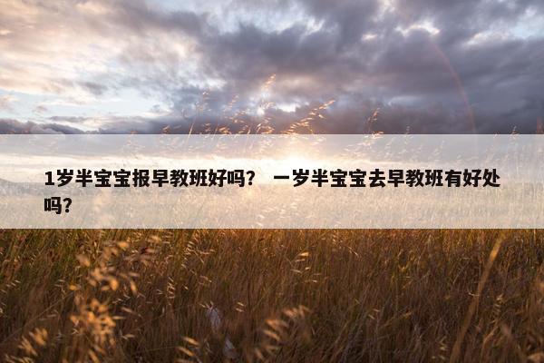 1岁半宝宝报早教班好吗？ 一岁半宝宝去早教班有好处吗？