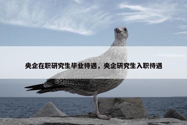 央企在职研究生毕业待遇，央企研究生入职待遇