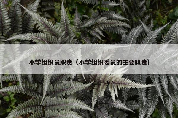 小学组织员职责（小学组织委员的主要职责）