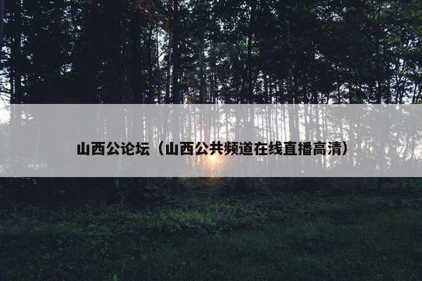 山西公论坛（山西公共频道在线直播高清）