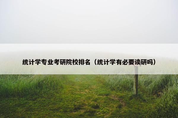统计学专业考研院校排名（统计学有必要读研吗）