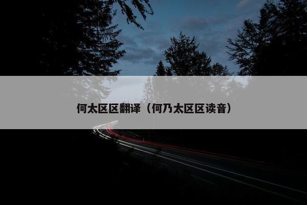 何太区区翻译（何乃太区区读音）