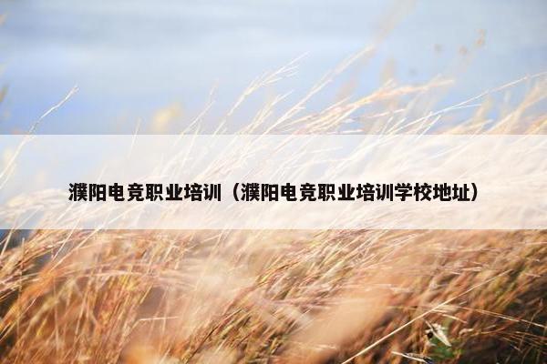濮阳电竞职业培训（濮阳电竞职业培训学校地址）