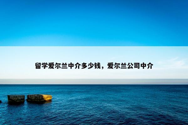 留学爱尔兰中介多少钱，爱尔兰公司中介