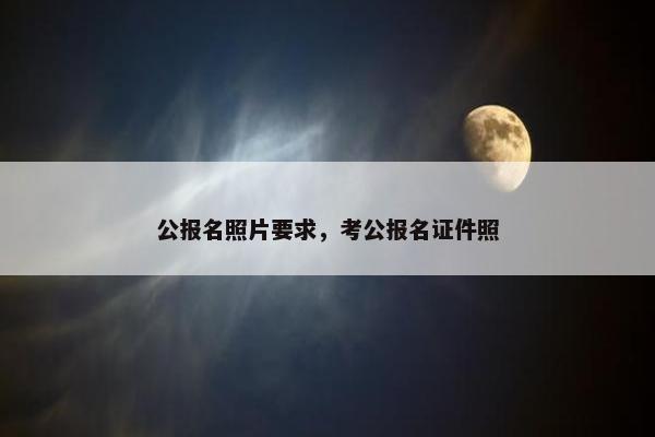 公报名照片要求，考公报名证件照